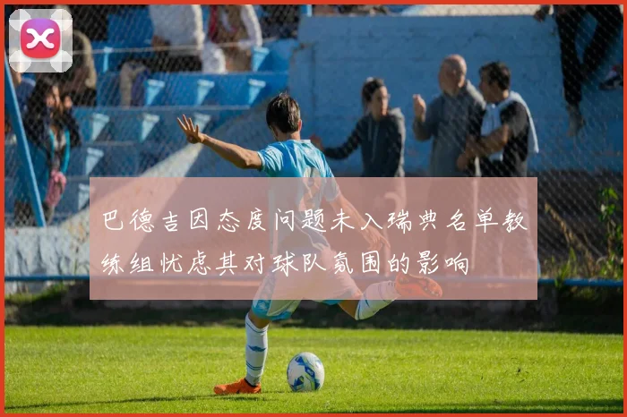 巴德吉因态度问题未入瑞典名单教练组忧虑其对球队氛围的影响