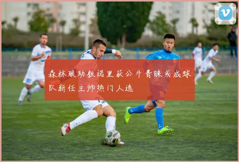 森林狼助教诺里获公牛青睐或成球队新任主帅热门人选